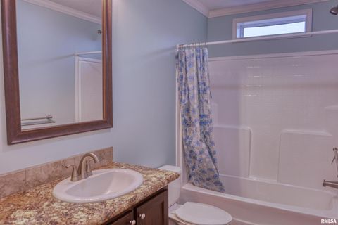 Tiny photo for 890 Gilead Church Road, Vienna, IL 62995 (MLS # EB460557)