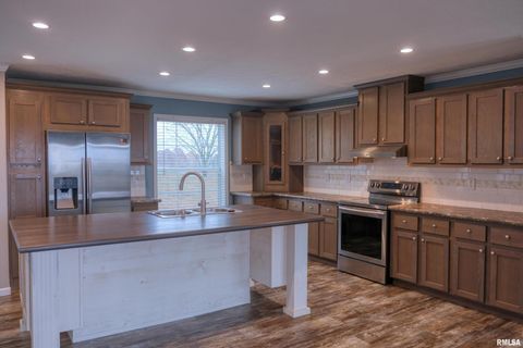 Tiny photo for 890 Gilead Church Road, Vienna, IL 62995 (MLS # EB460557)