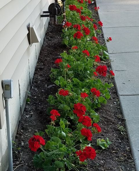 Tiny photo for 12027 Lisbon Road, Newark, IL 60541 (MLS # 12588424)