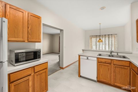 Tiny photo for 21728 W Empress Lane, Plainfield, IL 60544 (MLS # 12523171)