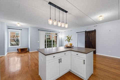 Tiny photo for 133 W Palatine Road #108, Palatine, IL 60067 (MLS # 12522117)