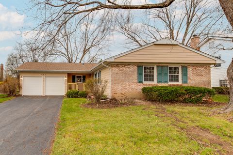 441 Arbor Gate Lane Buffalo Grove IL 60089