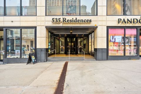 535 N Michigan Avenue 2906 Chicago IL 60611