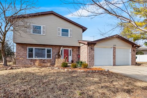 805 S RAVEN Road Shorewood IL 60404