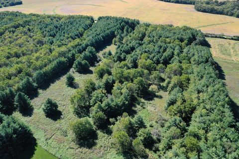 Tiny photo for 17278 Laube Road, Davis, IL 61019 (MLS # 12481227)