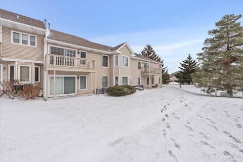 Tiny photo for 1851 Fox Run Drive #D4, Elk Grove Village, IL 60007 (MLS # 12531306)