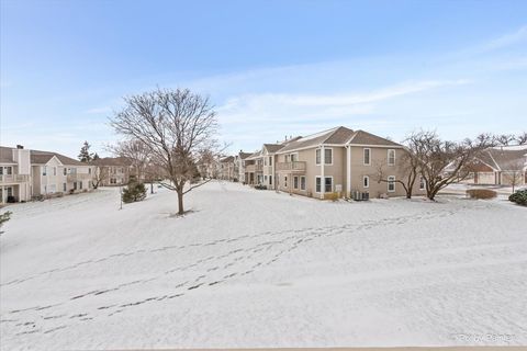 Tiny photo for 1851 Fox Run Drive #D4, Elk Grove Village, IL 60007 (MLS # 12531306)
