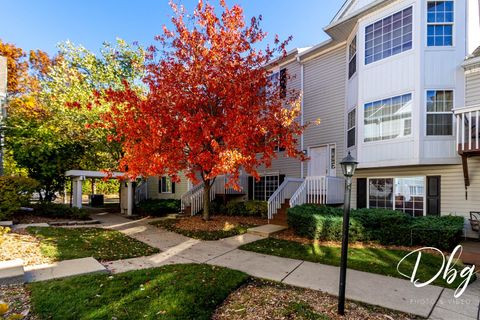 31 S TREEHOUSE Lane 31 Round Lake IL 60073