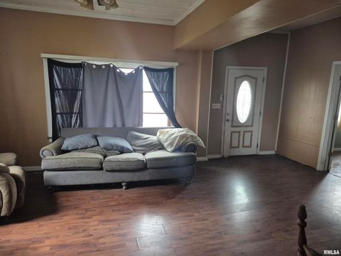 Tiny photo for 117 N MONROE Street, Golconda, IL 62938 (MLS # EB460693)