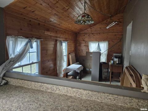 Tiny photo for 117 N MONROE Street, Golconda, IL 62938 (MLS # EB460693)