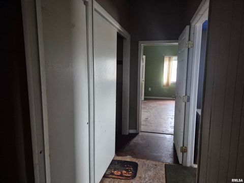 Tiny photo for 117 N MONROE Street, Golconda, IL 62938 (MLS # EB460693)