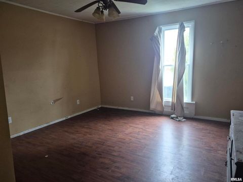 Tiny photo for 117 N MONROE Street, Golconda, IL 62938 (MLS # EB460693)