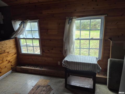 Tiny photo for 117 N MONROE Street, Golconda, IL 62938 (MLS # EB460693)