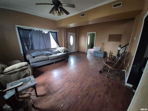 Tiny photo for 117 N MONROE Street, Golconda, IL 62938 (MLS # EB460693)