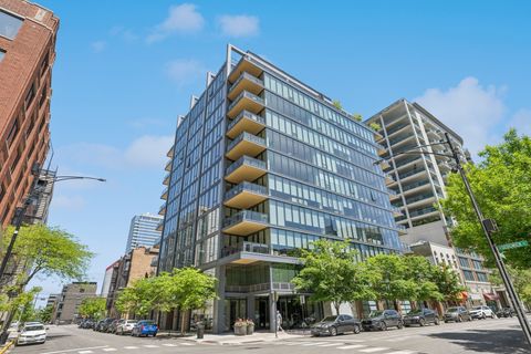 366 W Superior Street 702 Chicago IL 60654