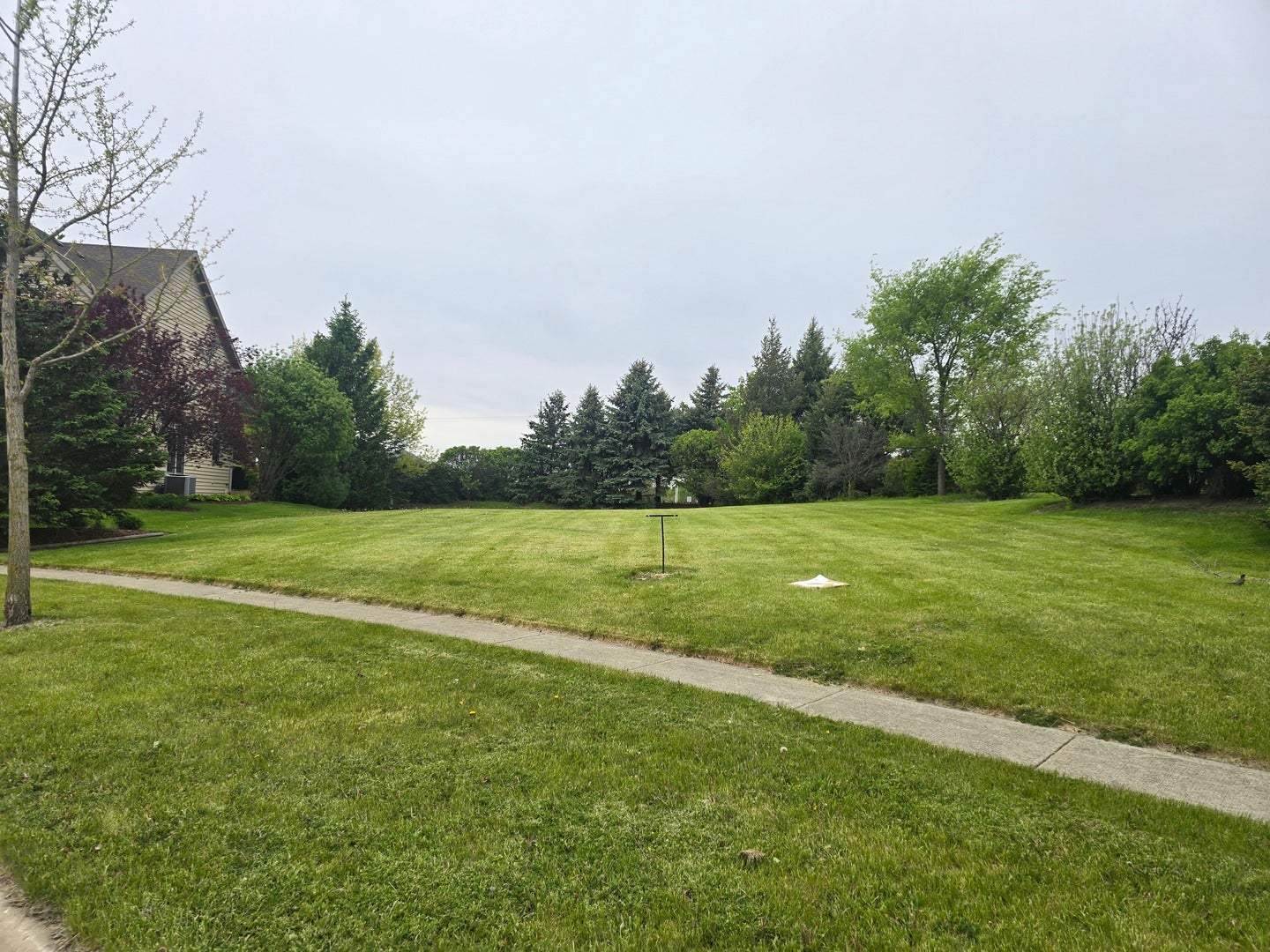 3250 Covington Lane