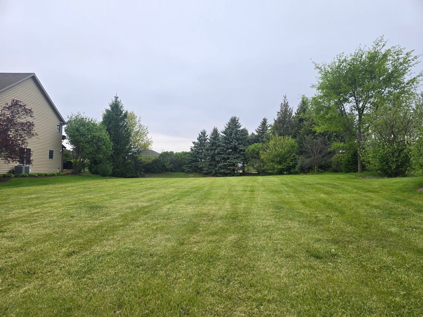 3250 Covington Lane