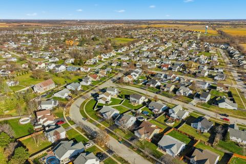 Tiny photo for 26221 N CHERRY Lane, Monee, IL 60449 (MLS # 12542778)