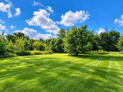 Tiny photo for 4708 Roslyn Road, Downers Grove, IL 60515 (MLS # 12778169)