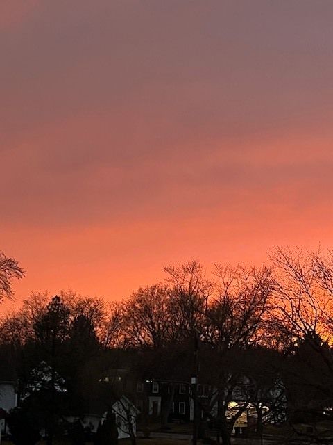 Tiny photo for 1105 N Mill Street #224, Naperville, IL 60563 (MLS # 12582474)