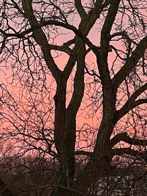 Tiny photo for 1105 N Mill Street #224, Naperville, IL 60563 (MLS # 12582474)