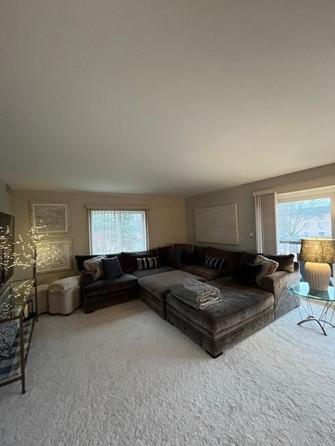 Tiny photo for 1105 N Mill Street #224, Naperville, IL 60563 (MLS # 12582474)
