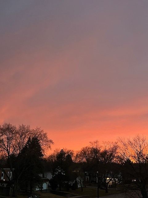 Tiny photo for 1105 N Mill Street #224, Naperville, IL 60563 (MLS # 12582474)