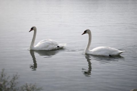 Tiny photo for 9387 Bay Colony Drive #3W, Des Plaines, IL 60016 (MLS # 12575181)