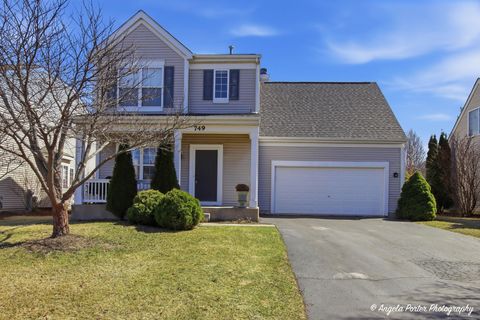 749 S Parkside Drive Round Lake IL 60073