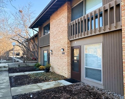 Photo of 5938 Meadow Drive #151-F, Lisle, IL 60532 (MLS # 12594228)