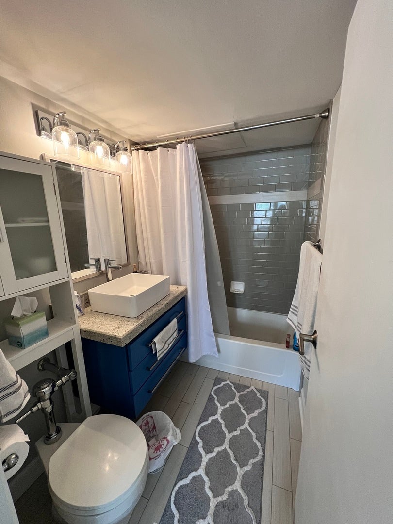 253 E Delaware Place 4C