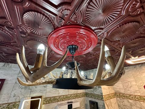 Tiny photo for Steger, IL 60475 (MLS # 12558998)