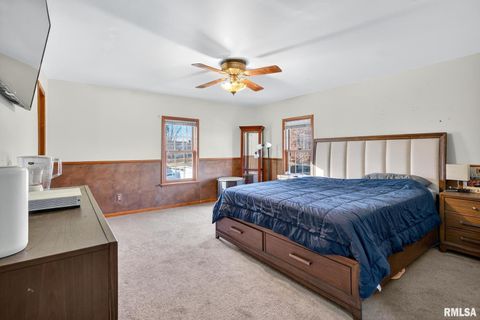 Tiny photo for 919 9TH Avenue, Fulton, IL 61252 (MLS # QC4269397)