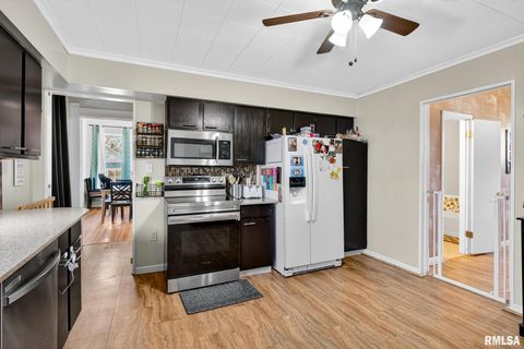 Tiny photo for 919 9TH Avenue, Fulton, IL 61252 (MLS # QC4269397)