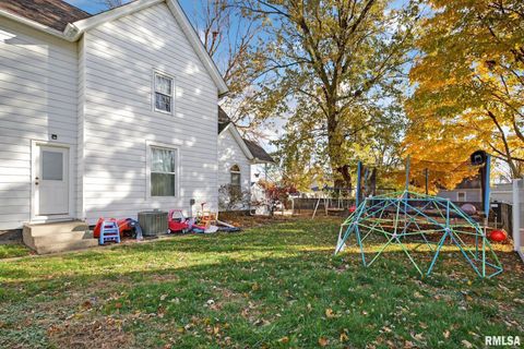 Tiny photo for 919 9TH Avenue, Fulton, IL 61252 (MLS # QC4269397)