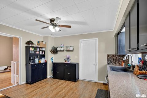 Tiny photo for 919 9TH Avenue, Fulton, IL 61252 (MLS # QC4269397)