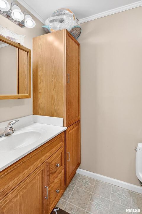 Tiny photo for 919 9TH Avenue, Fulton, IL 61252 (MLS # QC4269397)