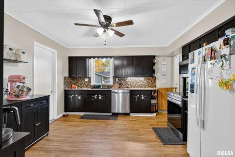 Tiny photo for 919 9TH Avenue, Fulton, IL 61252 (MLS # QC4269397)