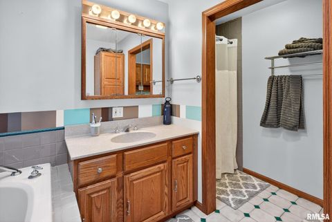 Tiny photo for 919 9TH Avenue, Fulton, IL 61252 (MLS # QC4269397)