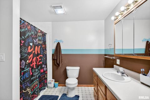 Tiny photo for 919 9TH Avenue, Fulton, IL 61252 (MLS # QC4269397)