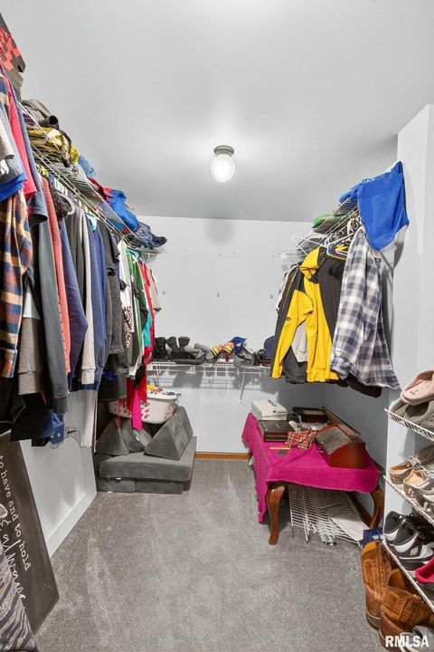 Tiny photo for 919 9TH Avenue, Fulton, IL 61252 (MLS # QC4269397)