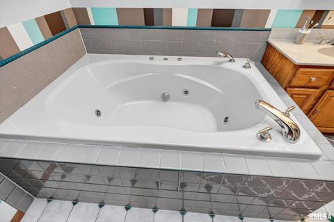 Tiny photo for 919 9TH Avenue, Fulton, IL 61252 (MLS # QC4269397)