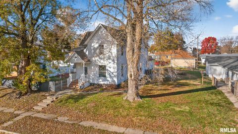 Tiny photo for 919 9TH Avenue, Fulton, IL 61252 (MLS # QC4269397)