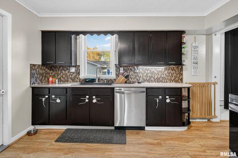 Tiny photo for 919 9TH Avenue, Fulton, IL 61252 (MLS # QC4269397)