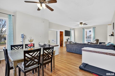 Tiny photo for 919 9TH Avenue, Fulton, IL 61252 (MLS # QC4269397)