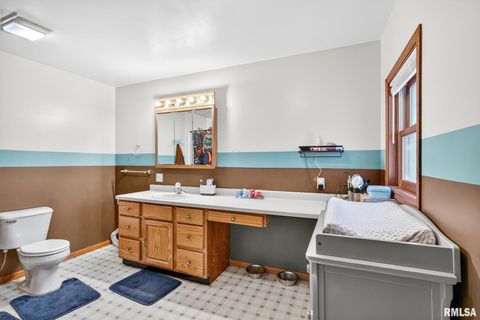 Tiny photo for 919 9TH Avenue, Fulton, IL 61252 (MLS # QC4269397)