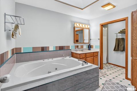 Tiny photo for 919 9TH Avenue, Fulton, IL 61252 (MLS # QC4269397)