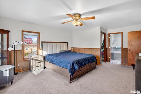 Tiny photo for 919 9TH Avenue, Fulton, IL 61252 (MLS # QC4269397)