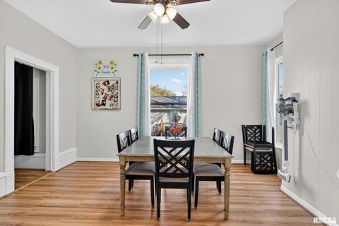 Tiny photo for 919 9TH Avenue, Fulton, IL 61252 (MLS # QC4269397)