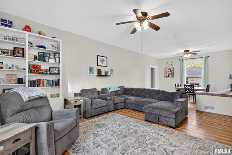 Tiny photo for 919 9TH Avenue, Fulton, IL 61252 (MLS # QC4269397)